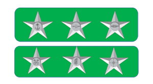 Service Stars
